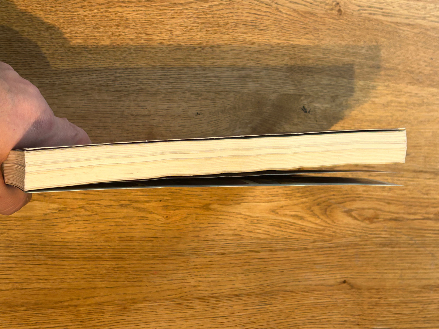 citadel miniatures 1995/6 annual