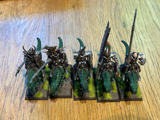 Warhammer fantasy cold one knights x5 including full command (champion’s helmet decoration is half broken off)
