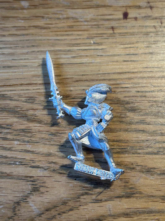 Warhammer Fantasy Old World High elf shadow warrior (Copy)