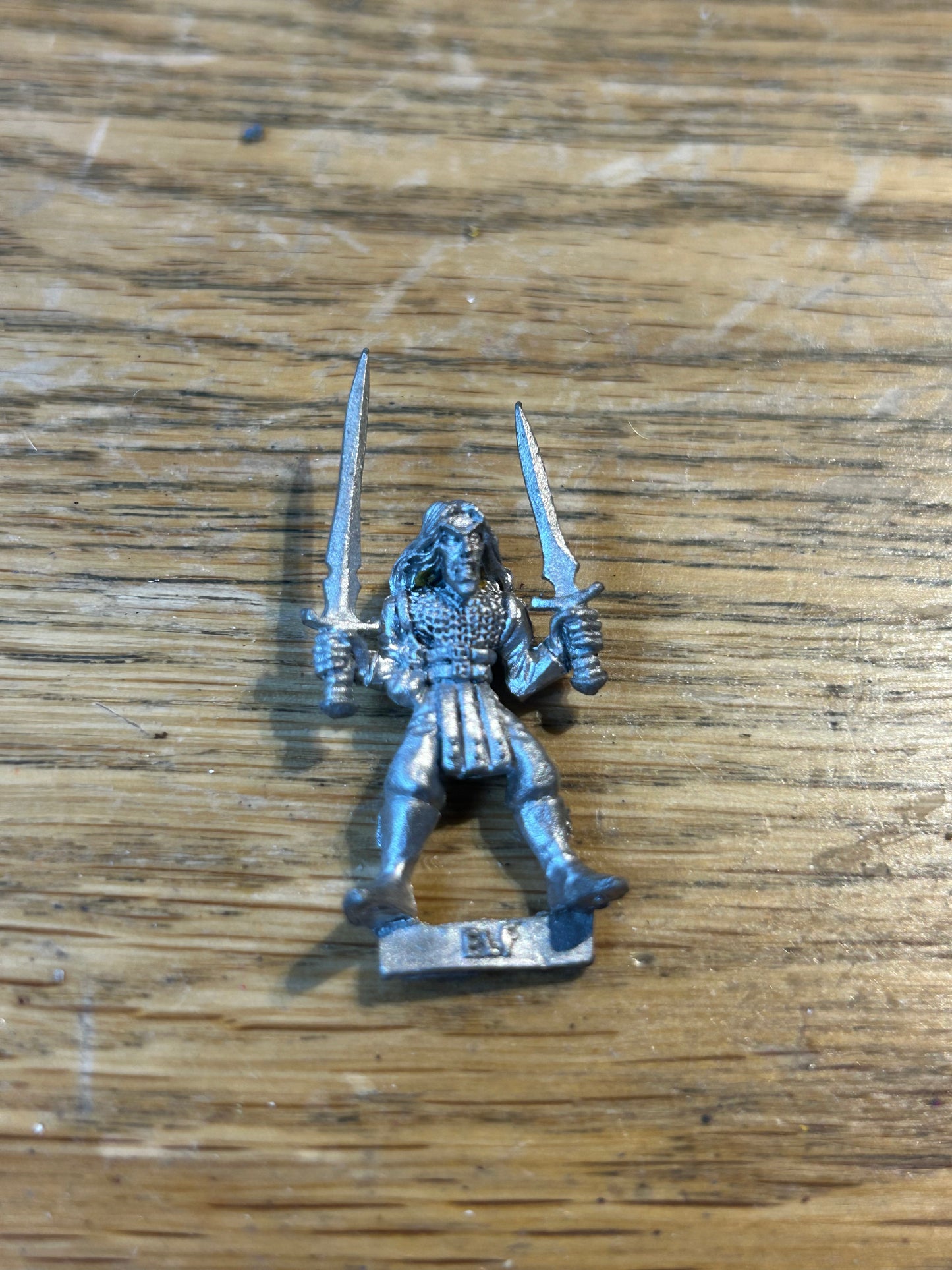 Warhammer Fantasy old world wood elf  wardancer with two swords morrigan
