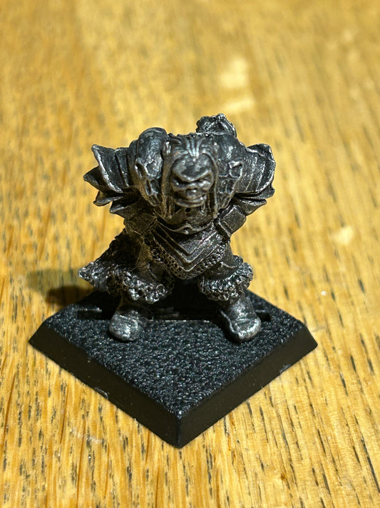 Citadel Chaos Marauder F5 Zarygor Bloodrage Realms of Warhammer Metal Variant