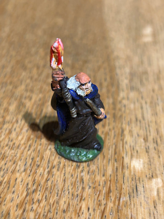 C02 wizards C02 (1C-43)
Tutorix the Druid warhammer fantasy empire