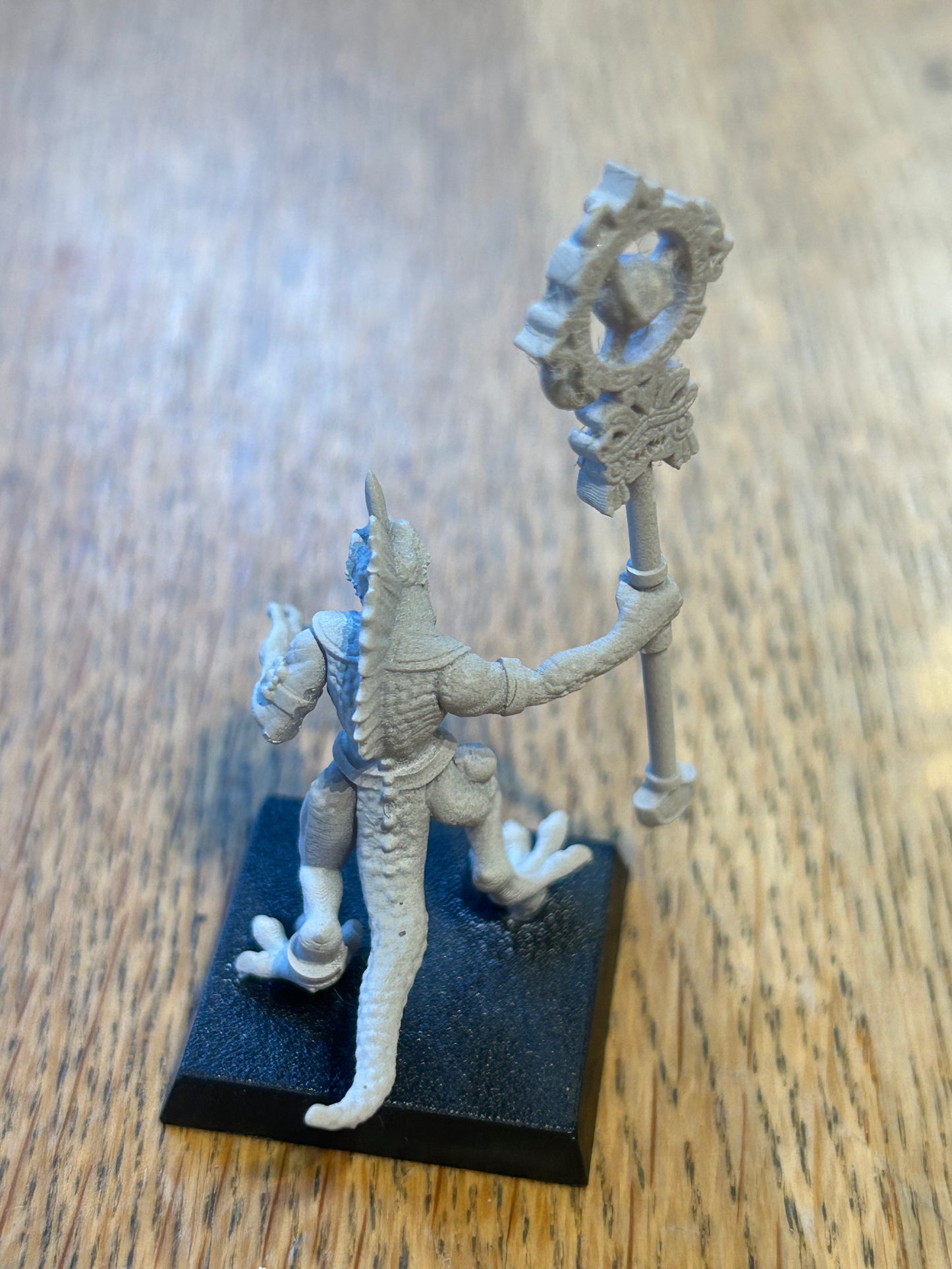 Warhammer fantasy lizardmen proxy skink priest