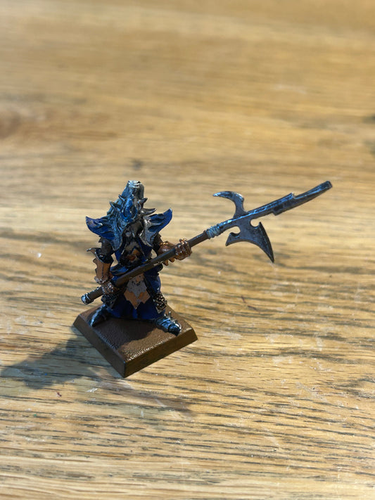 Warhammer Fantasy Dark Elves Elf Black Guard Naggaroth - The Old World Metal