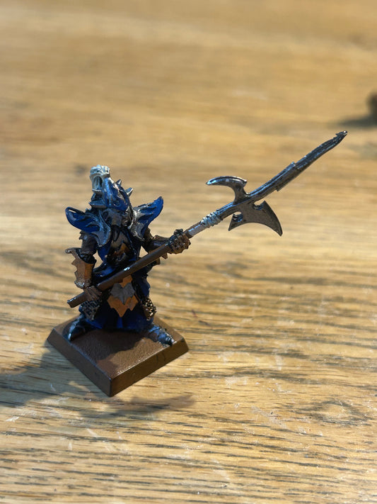 Warhammer Fantasy Dark Elves Elf Black Guard Naggaroth - The Old World Metal