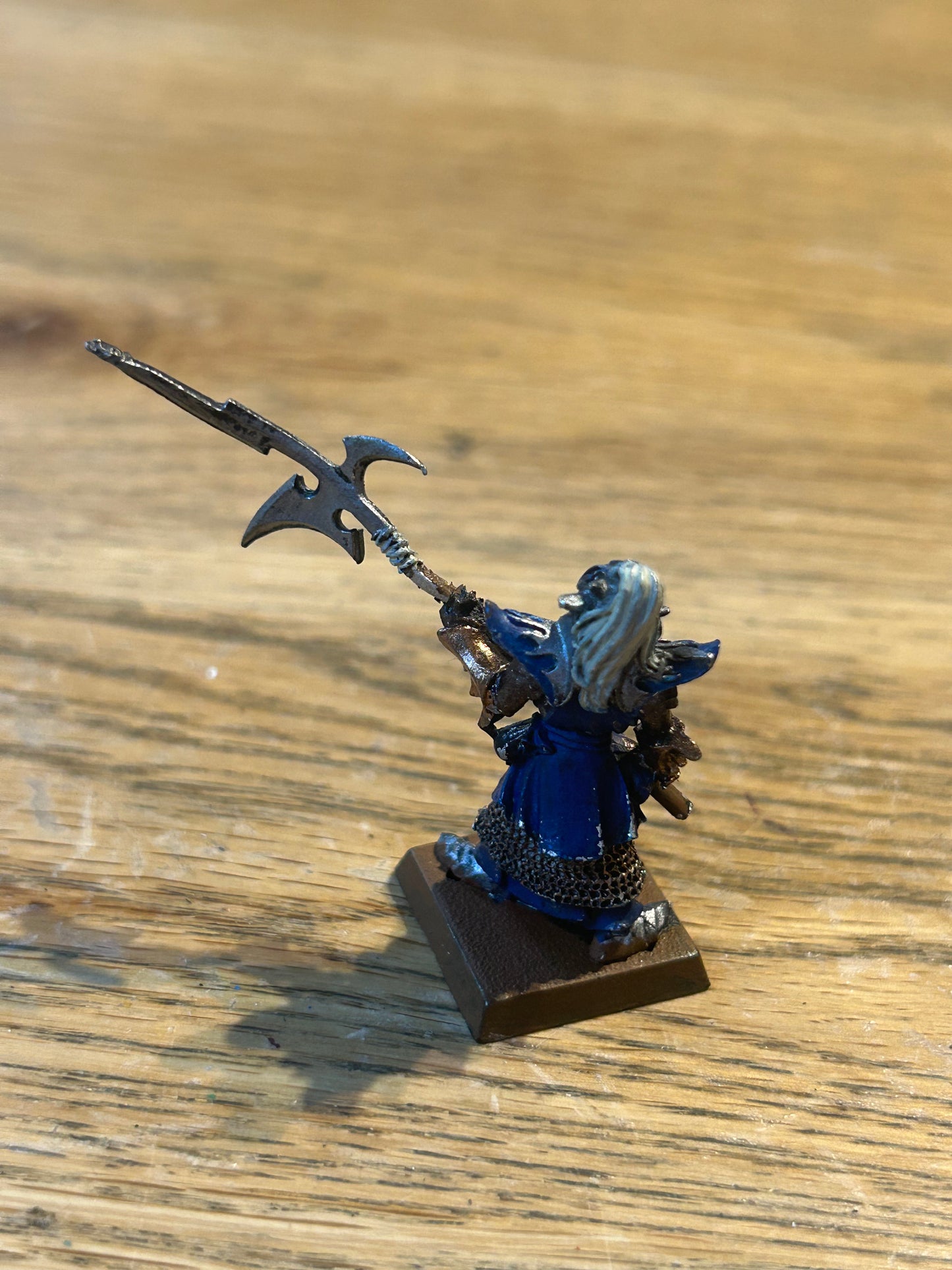 Warhammer Fantasy Dark Elves Elf Black Guard Naggaroth - The Old World Metal