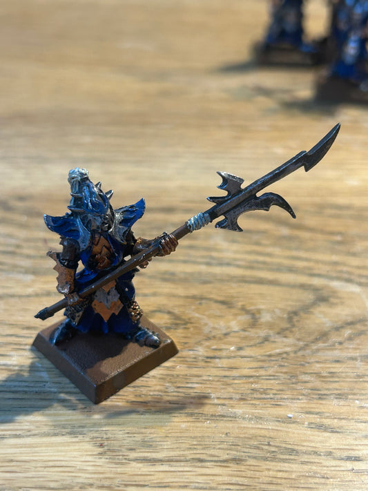 Warhammer Fantasy Dark Elves Elf Black Guard Naggaroth - The Old World Metal