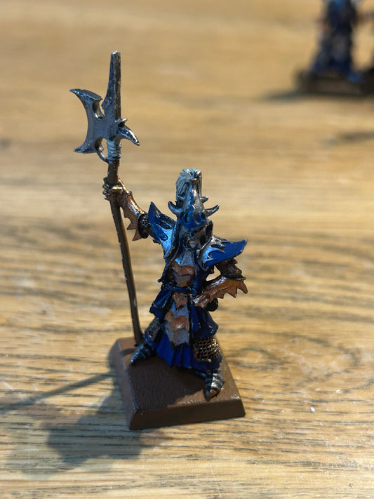 Warhammer Fantasy Dark Elves Elf Black Guard Naggaroth - The Old World Metal