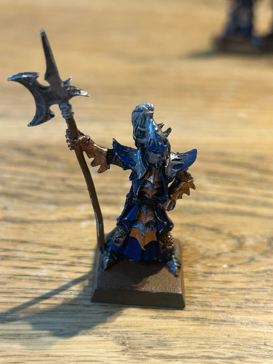 Warhammer Fantasy Dark Elves Elf Black Guard Naggaroth - The Old World Metal