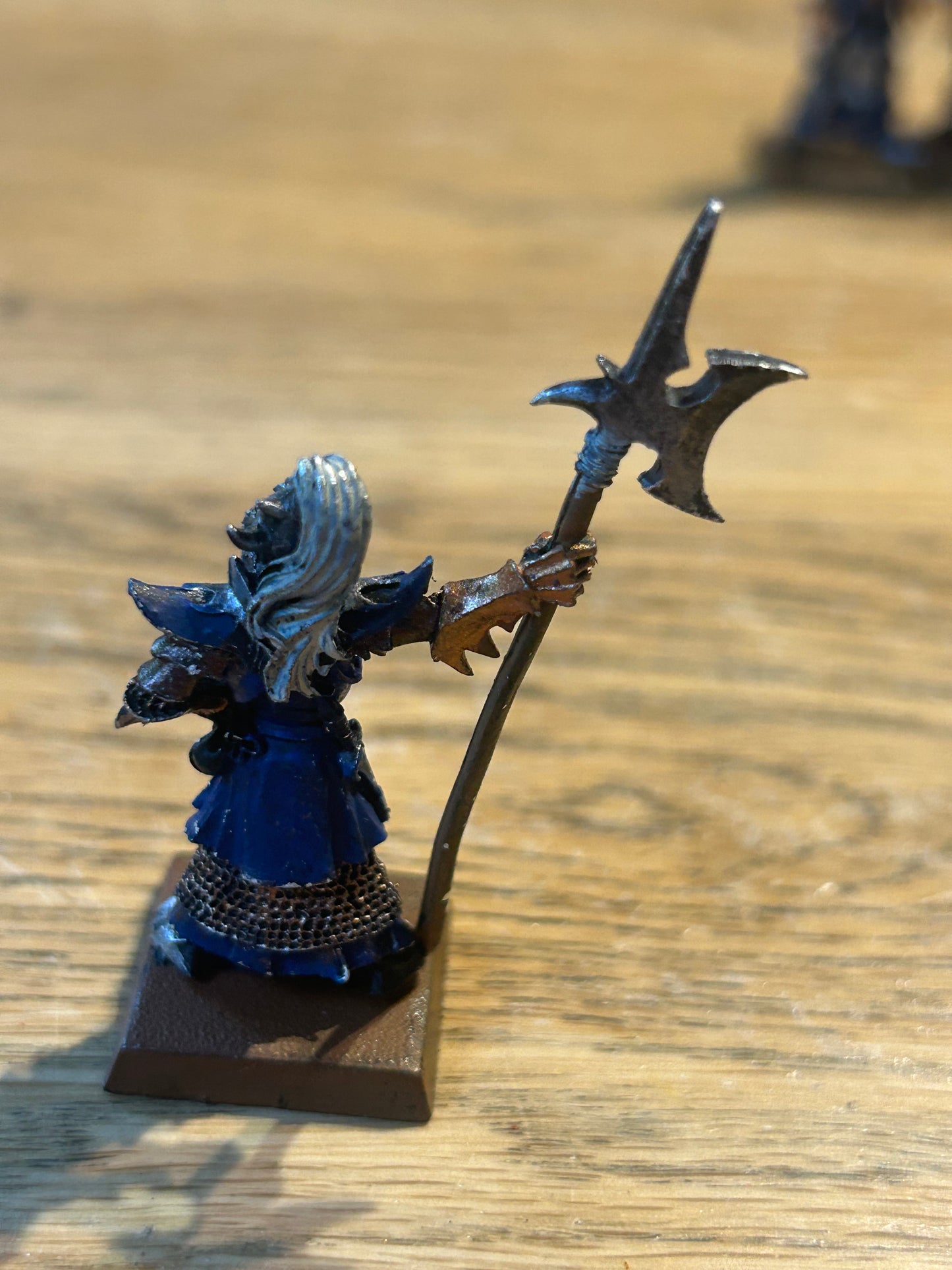 Warhammer Fantasy Dark Elves Elf Black Guard Naggaroth - The Old World Metal