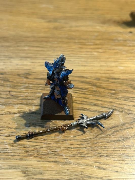 Warhammer Fantasy Dark Elves Elf Black Guard Naggaroth - The Old World Metal