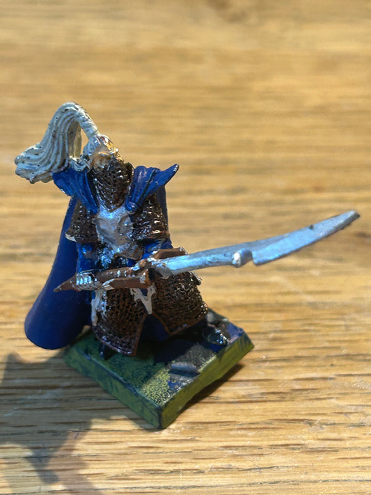 Warhammer Fantasy Dark Elf Har Garneth Executioner Champion The Old World Metal