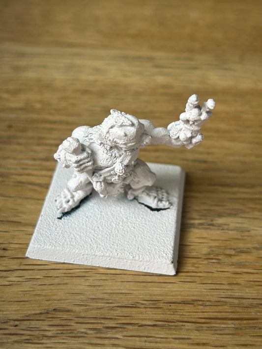 C23 Ogre Shaman Old World Warhammer Fantasy