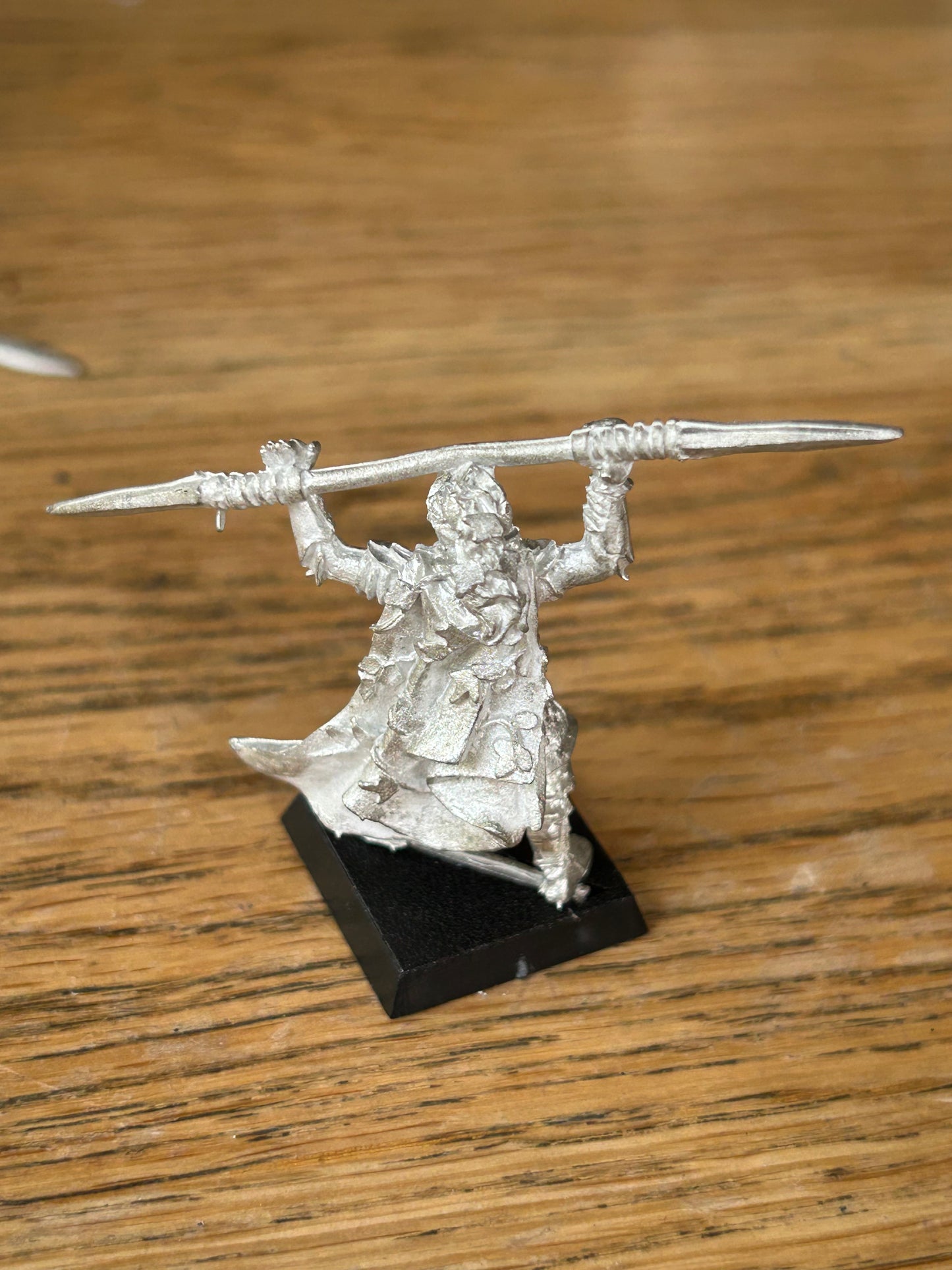 Warhammer Wood Elves metal ELF ETERNAL GUARD (5 available)