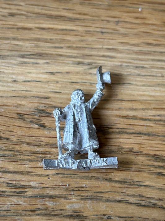 MESBG hobbits of the shire Paladin Took metal