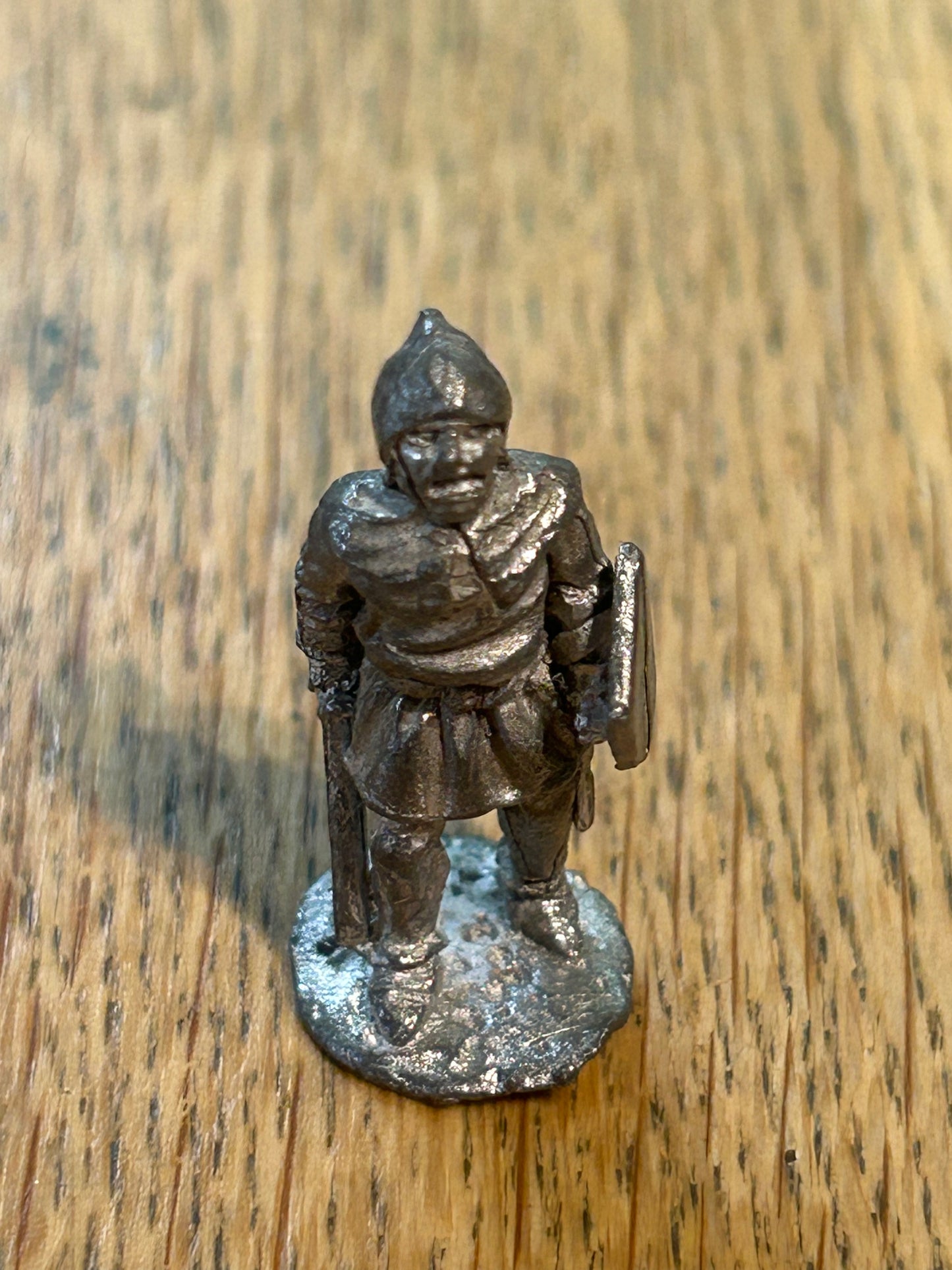 Citadel dark ages Viking with sword and shield