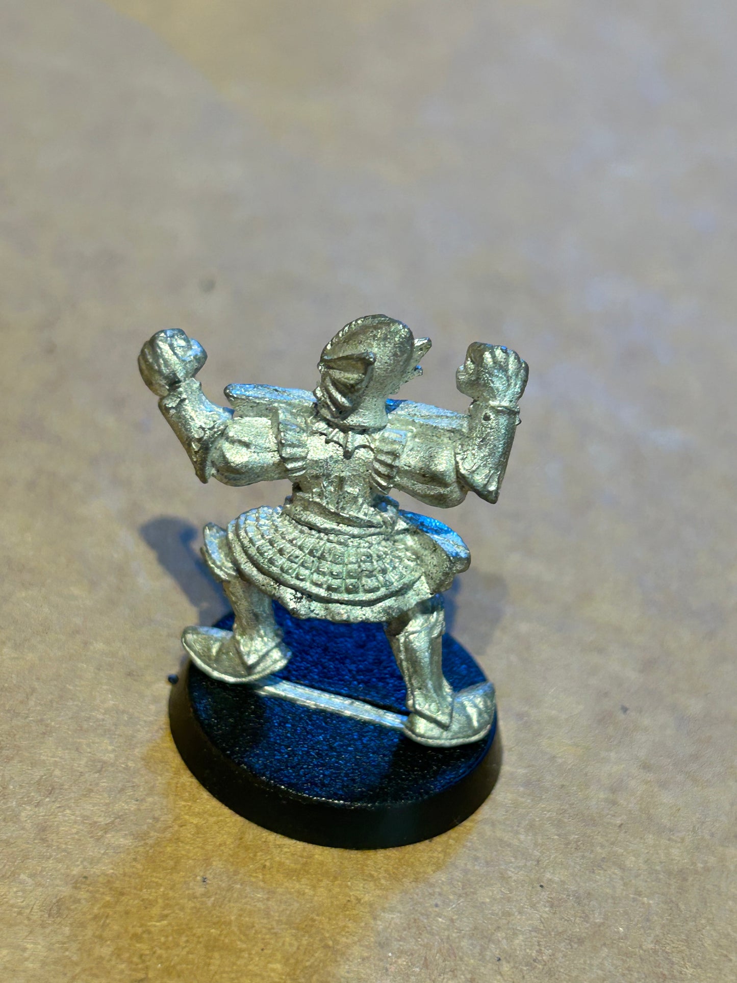 Bloodbowl high elf blitzer