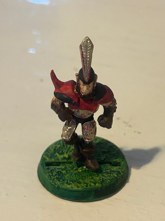 Bloodbowl second edition dark elf blitzer