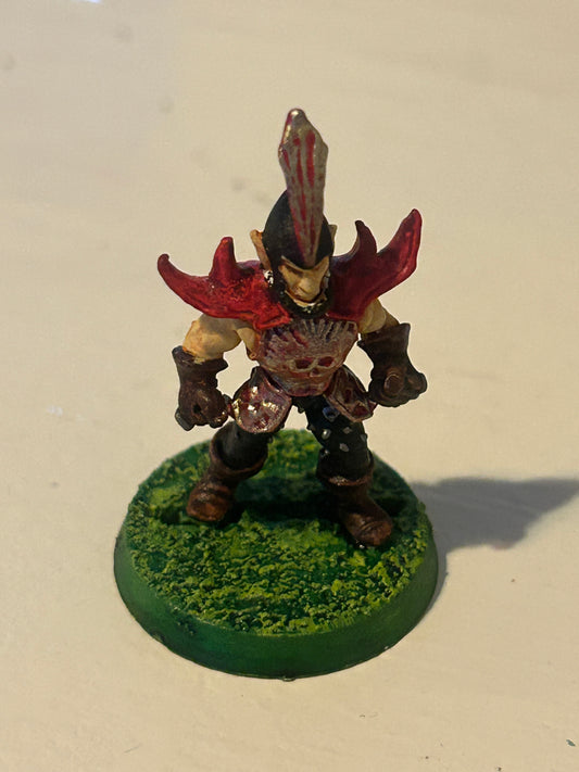 Bloodbowl second edition dark elf lineman