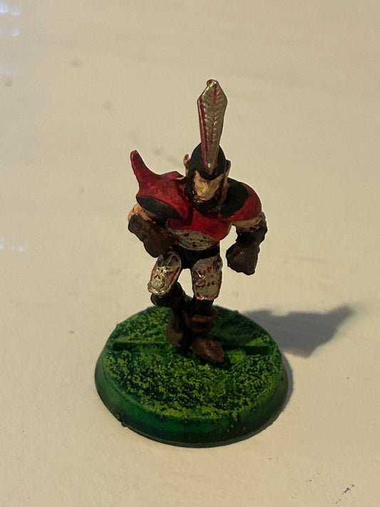 Bloodbowl second edition dark elf blitzer