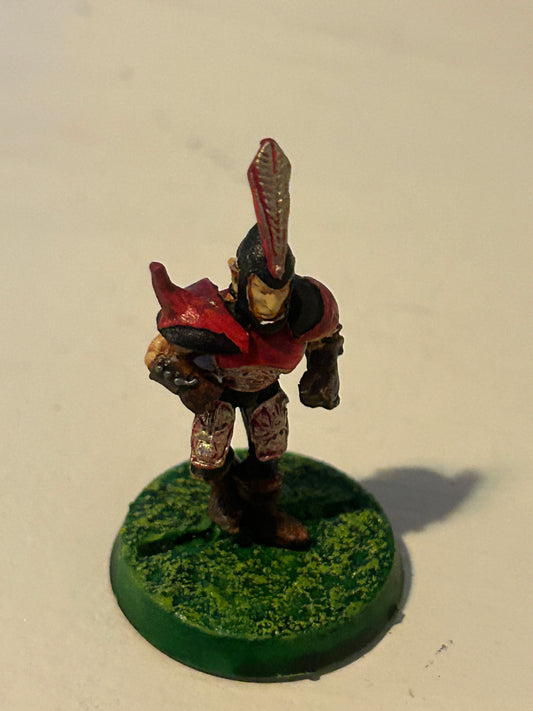 Bloodbowl second edition dark elf blitzer