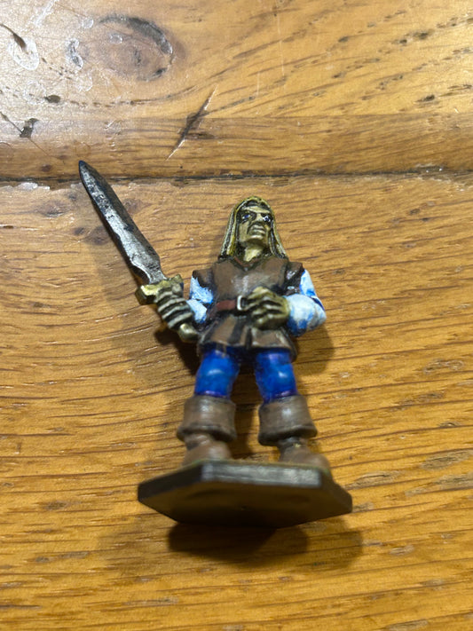 Volrik the Brave Adventurer
 dungeon quest miniature empire