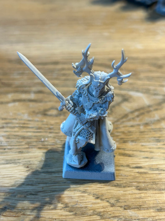 Warhammer fantasy old world proxy bretonnian lord with stag helm and great sword (plastic)