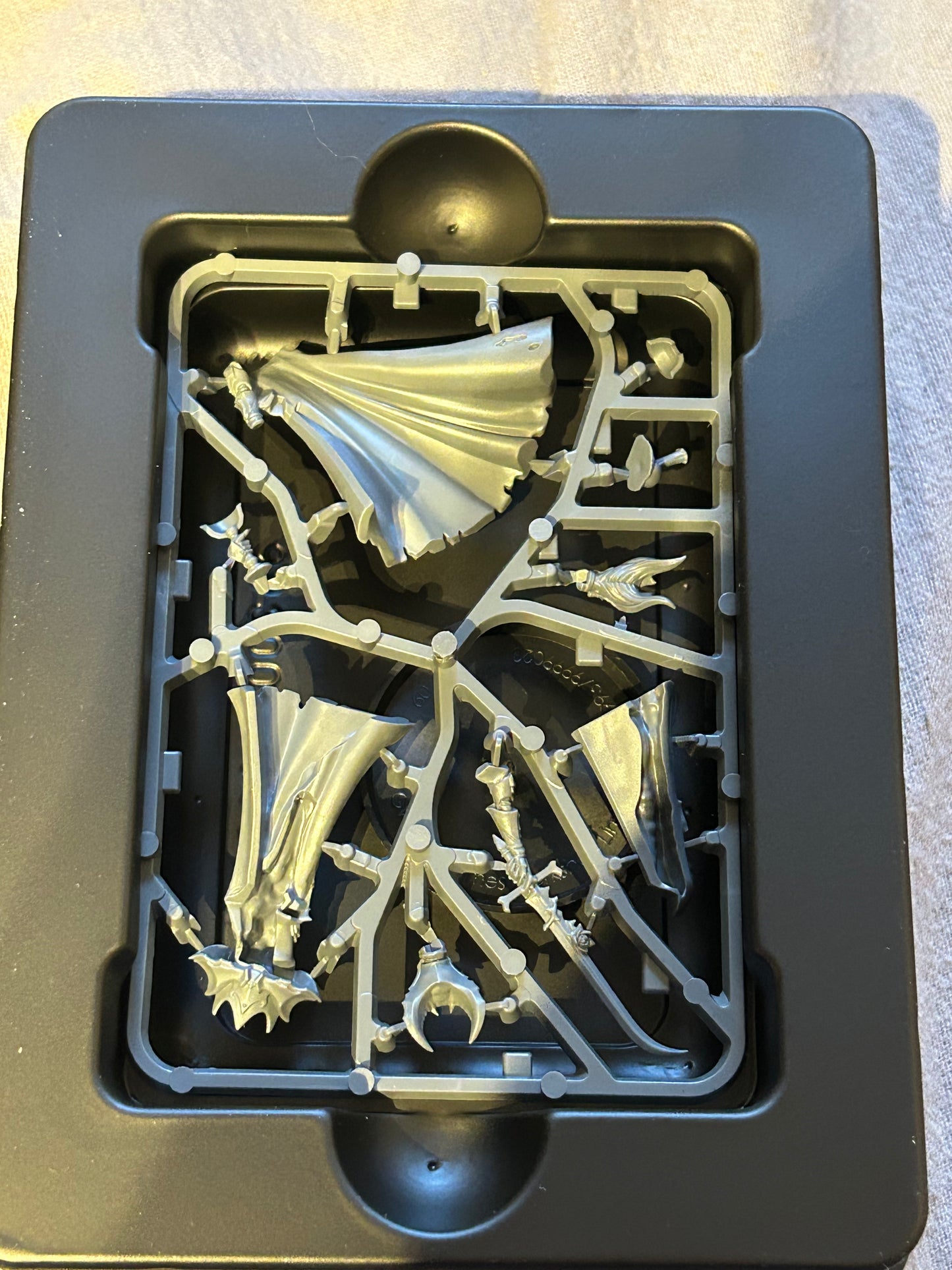 Warhammer Age Of Sigmar Soulblight Gravelords Karlina Von Carstein opened box but still on Sprue