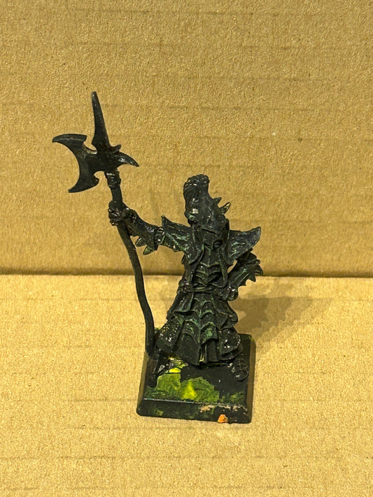 Warhammer Fantasy Dark Elves Elf Black Guard Naggaroth - The Old World Metal
