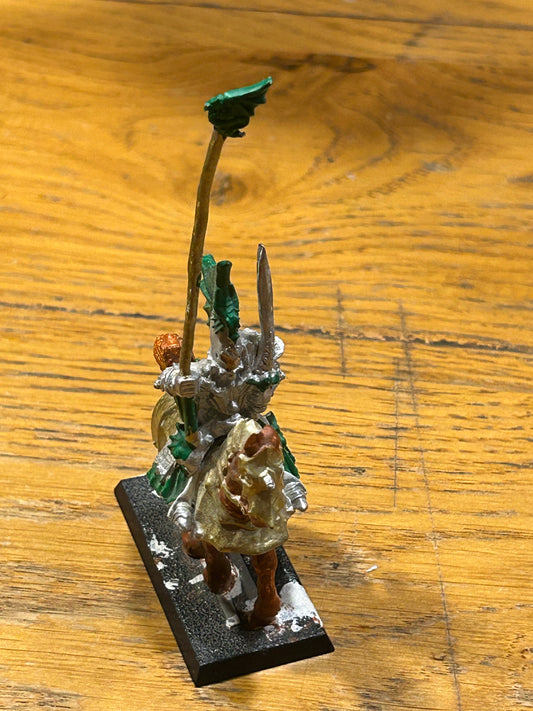Warhammer Fantasy High Elf Dragon Prince of Caledor Standard Bearer - Metal