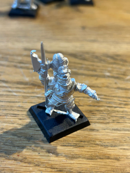 Warhammer Fantasy Old World Empire Hero Captain with halberd