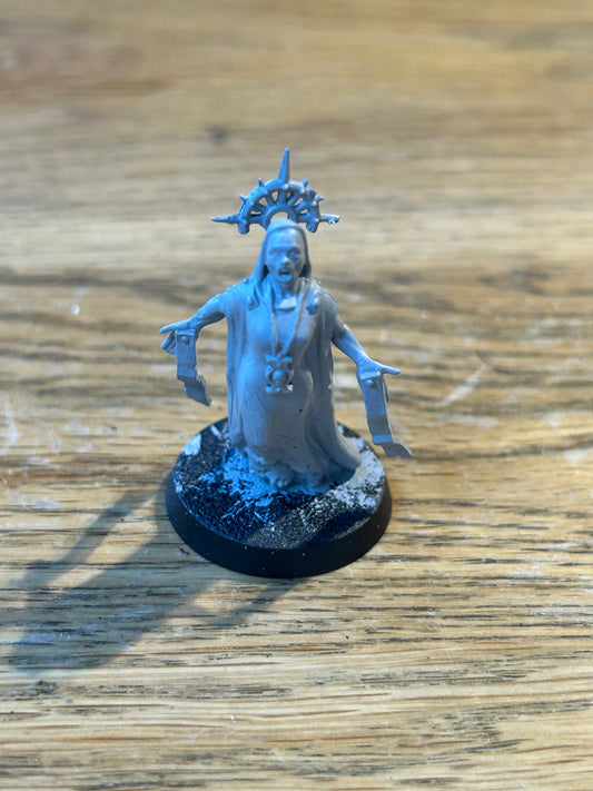Warhammer 40k kill team sanctifiers miraculist