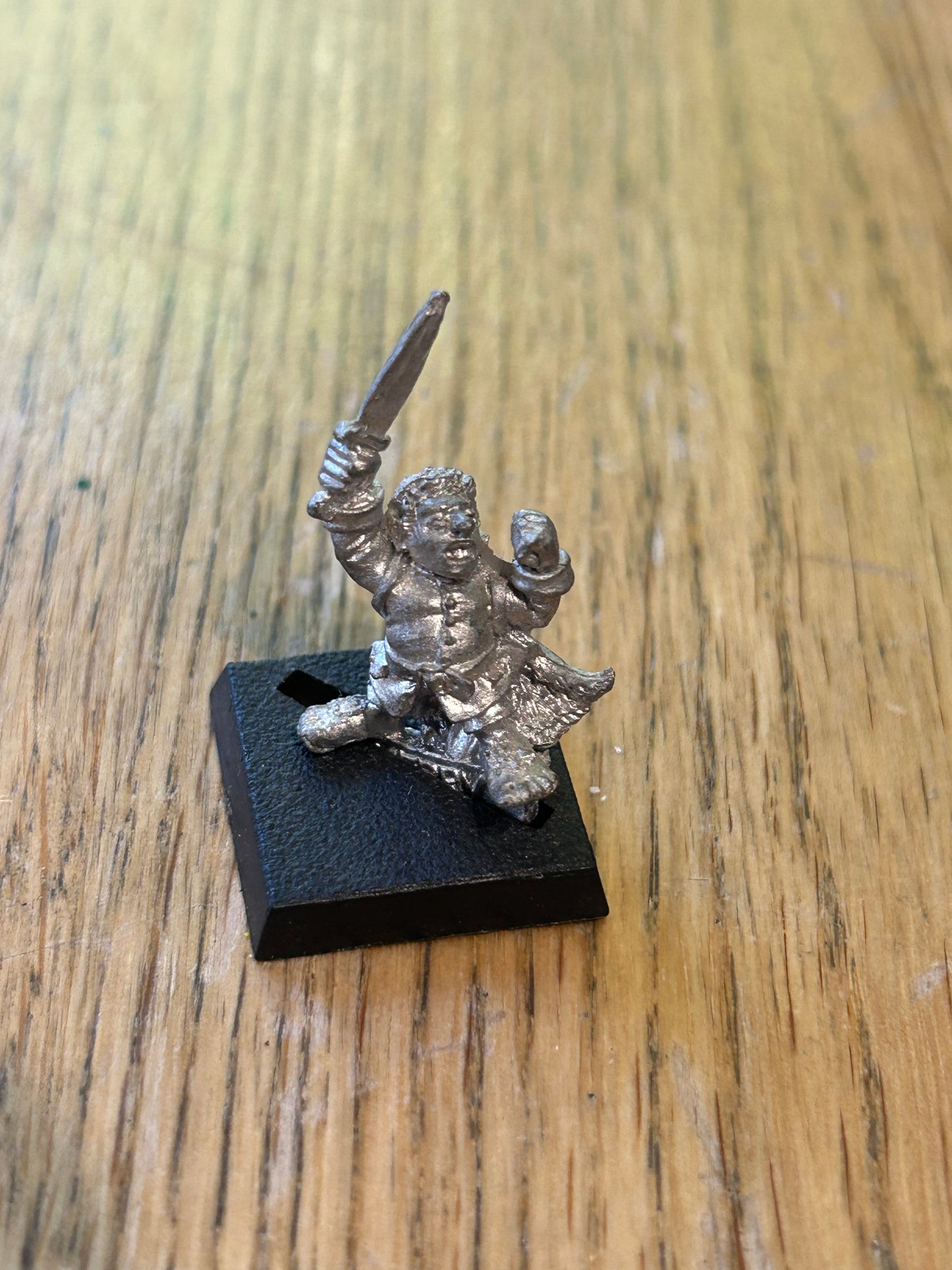 BME1 Merry Fellowship of the Ring Middle Earth Citadel Metal