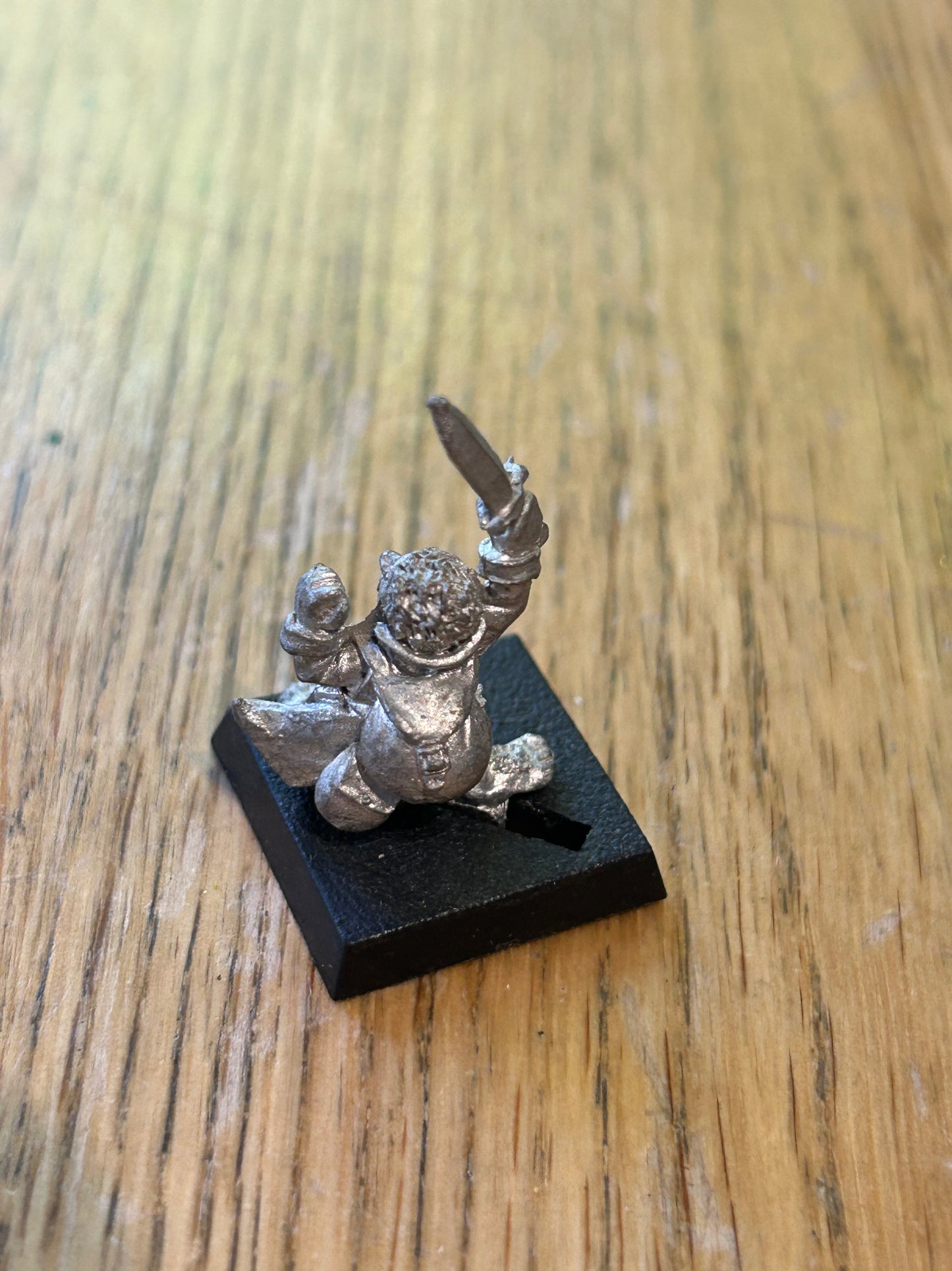 BME1 Merry Fellowship of the Ring Middle Earth Citadel Metal