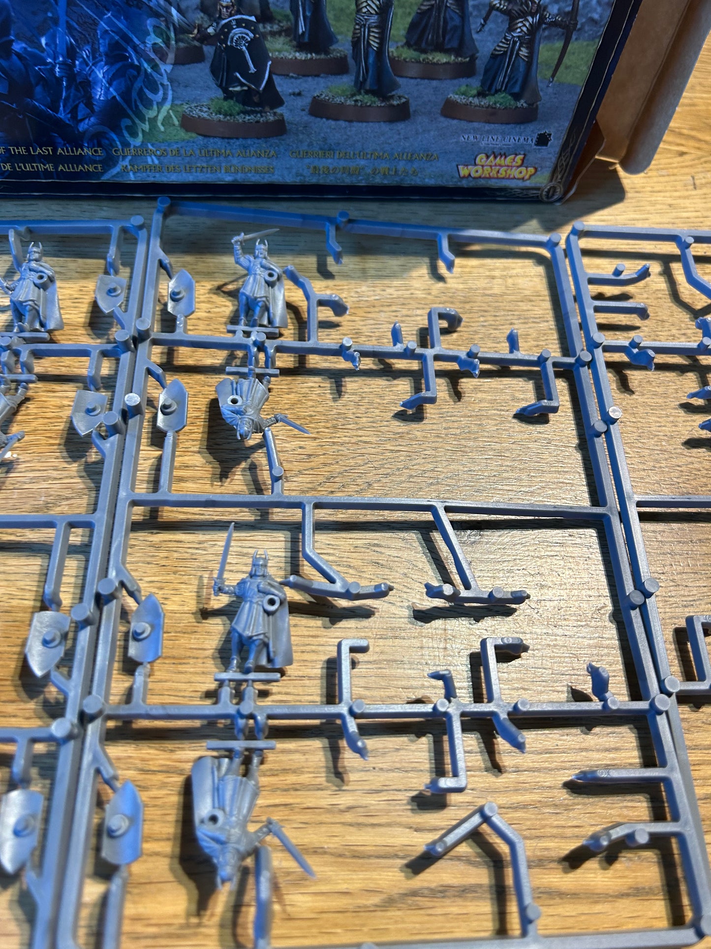 Warriors of the last alliance box set (mixture of two boxes, contains 9 men on Sprue and one that has been taken off the Sprue, three painted men, 6 elves with swords and 4 with bows)