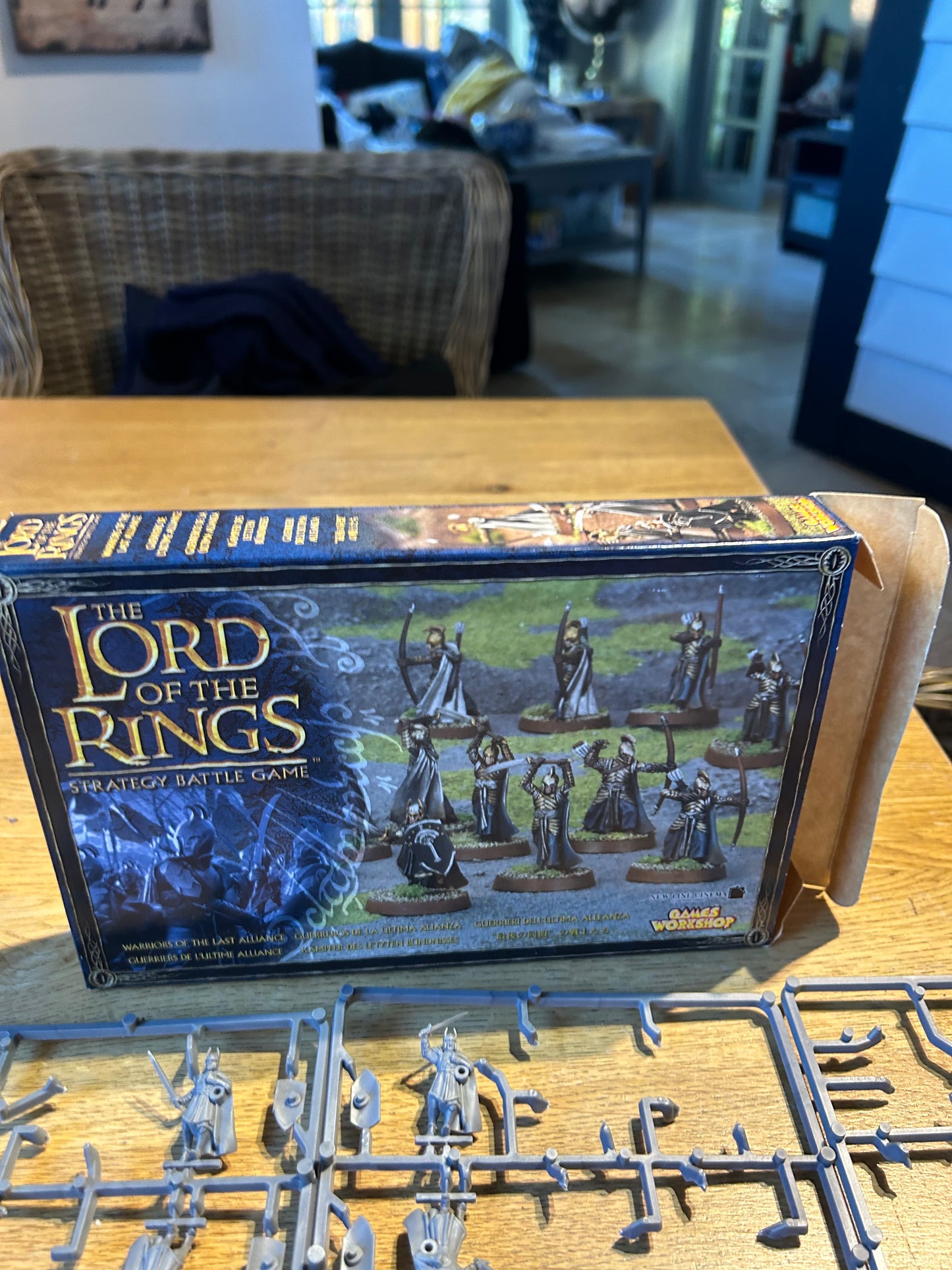 Warriors of the last alliance box set (mixture of two boxes, contains 9 men on Sprue and one that has been taken off the Sprue, three painted men, 6 elves with swords and 4 with bows)