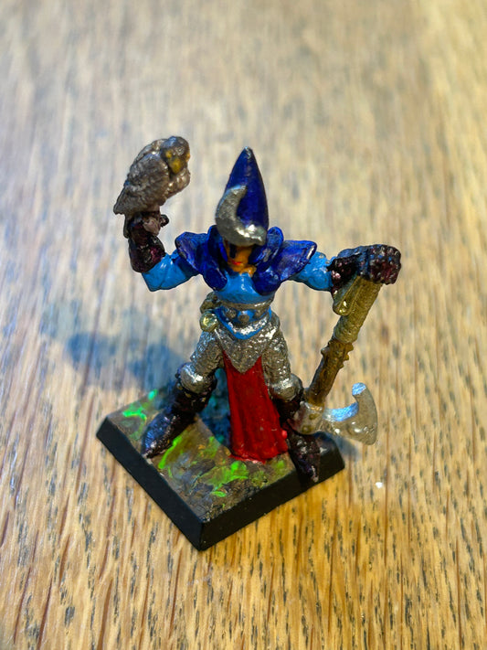 Warhammer Fantasy Old World Wood Elf champion/hero with axe and bird