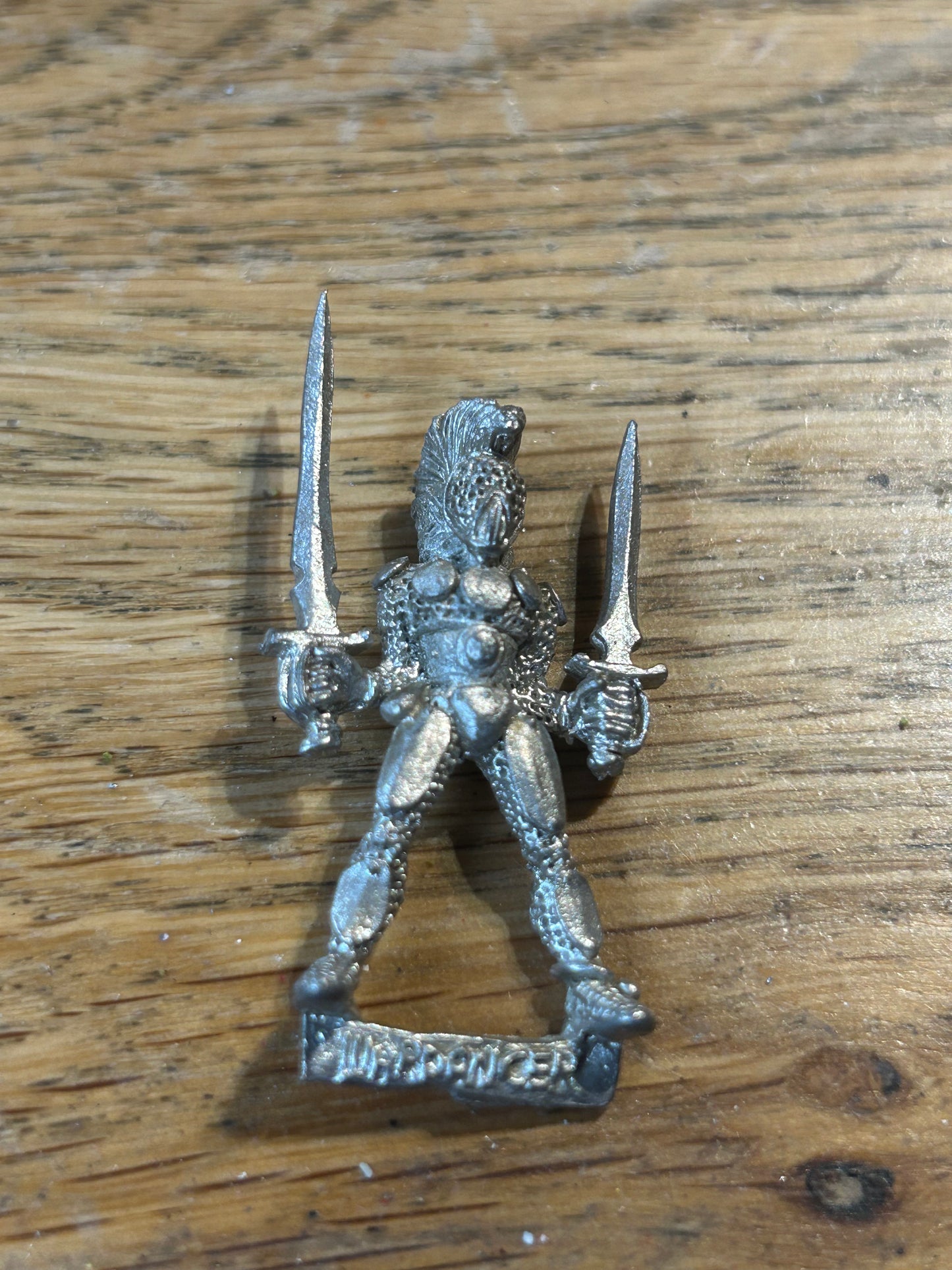 Warhammer Fantasy old world wood elf  wardancer with two swords Gartan