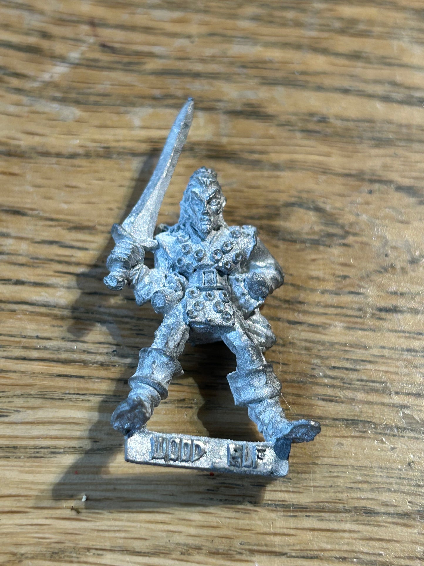 Warhammer Fantasy old world wood elf  with sword