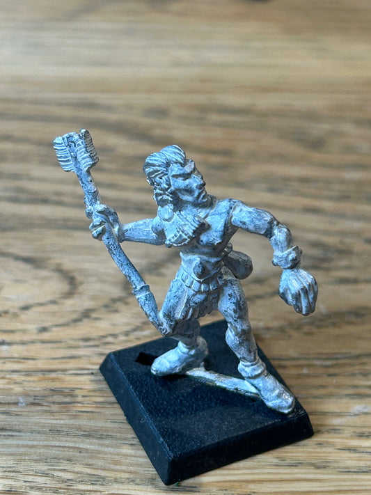 Warhammer Fantasy old world marauder miniatures wood elf with javelin