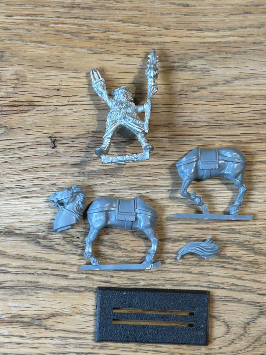 Empire of Man - Empire Mounted Amber Wizard
