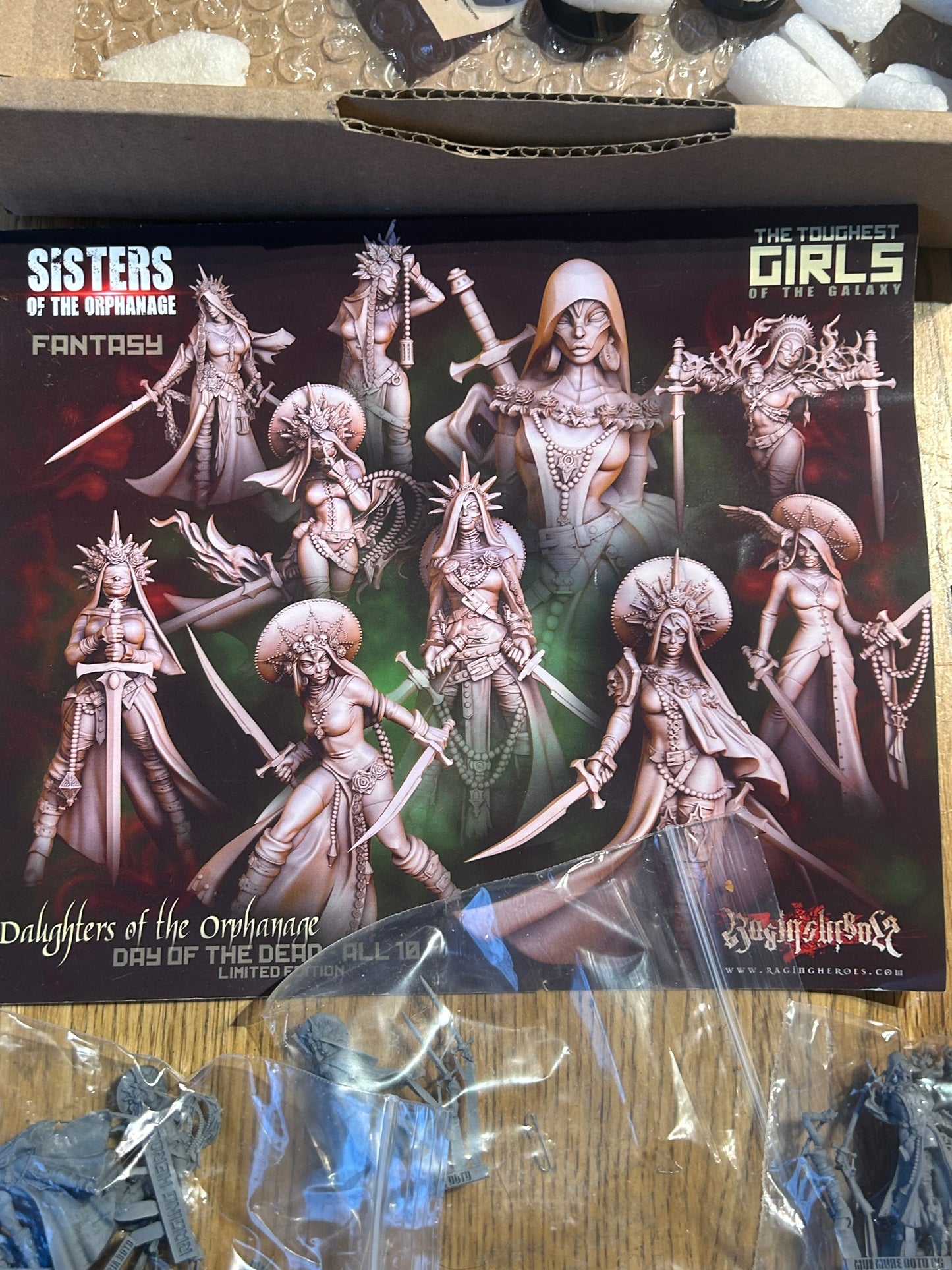 Raging Heroes Daughters Of The Orphanage day of the dead edition Boxset new on Sprue