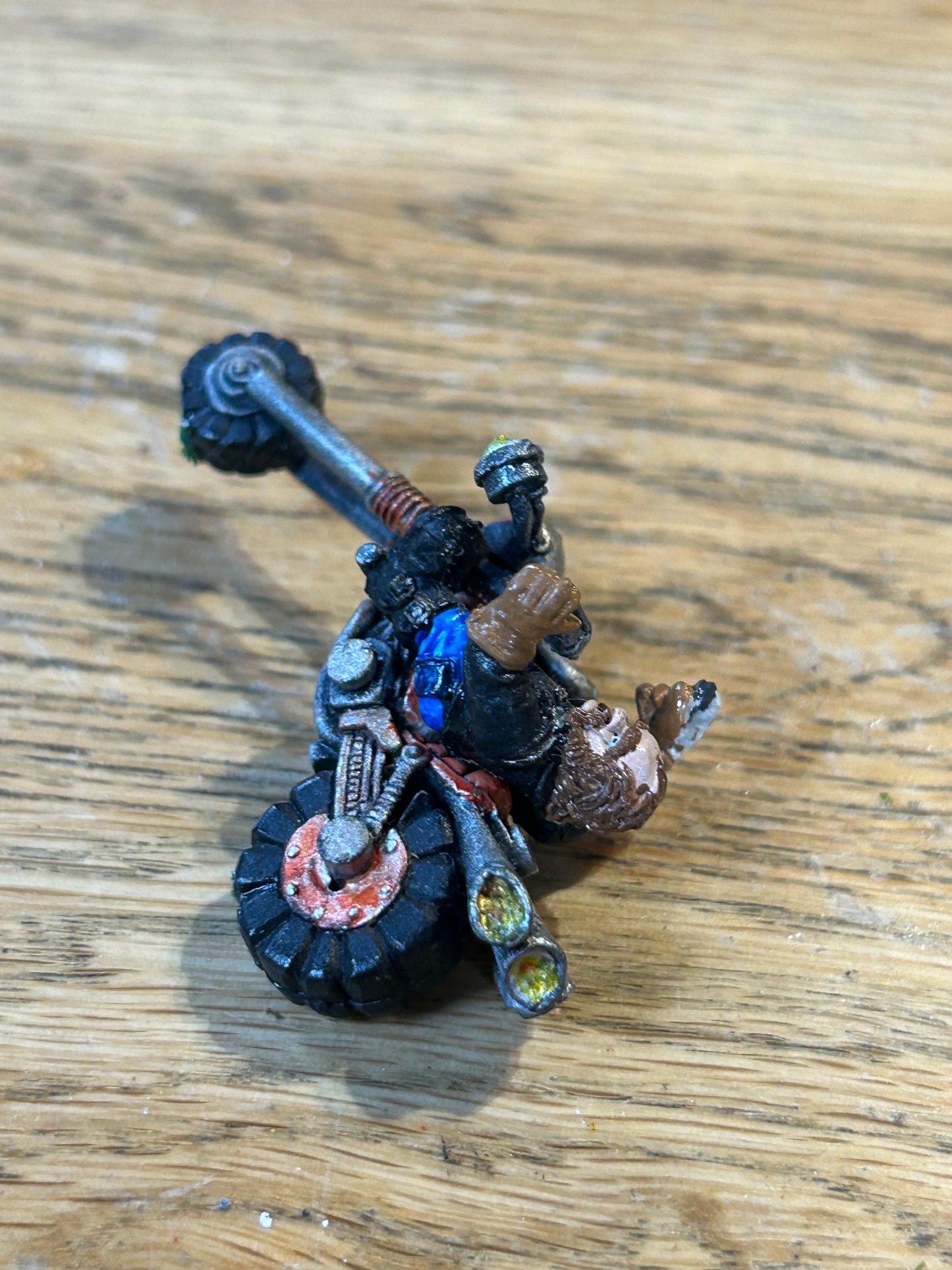 Rogue Trader Squat Bike and Biker