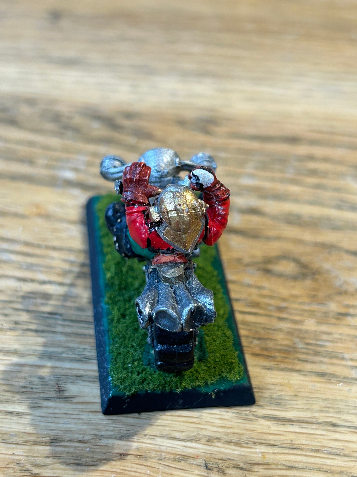 Rogue Trader Squat Bike and Biker
