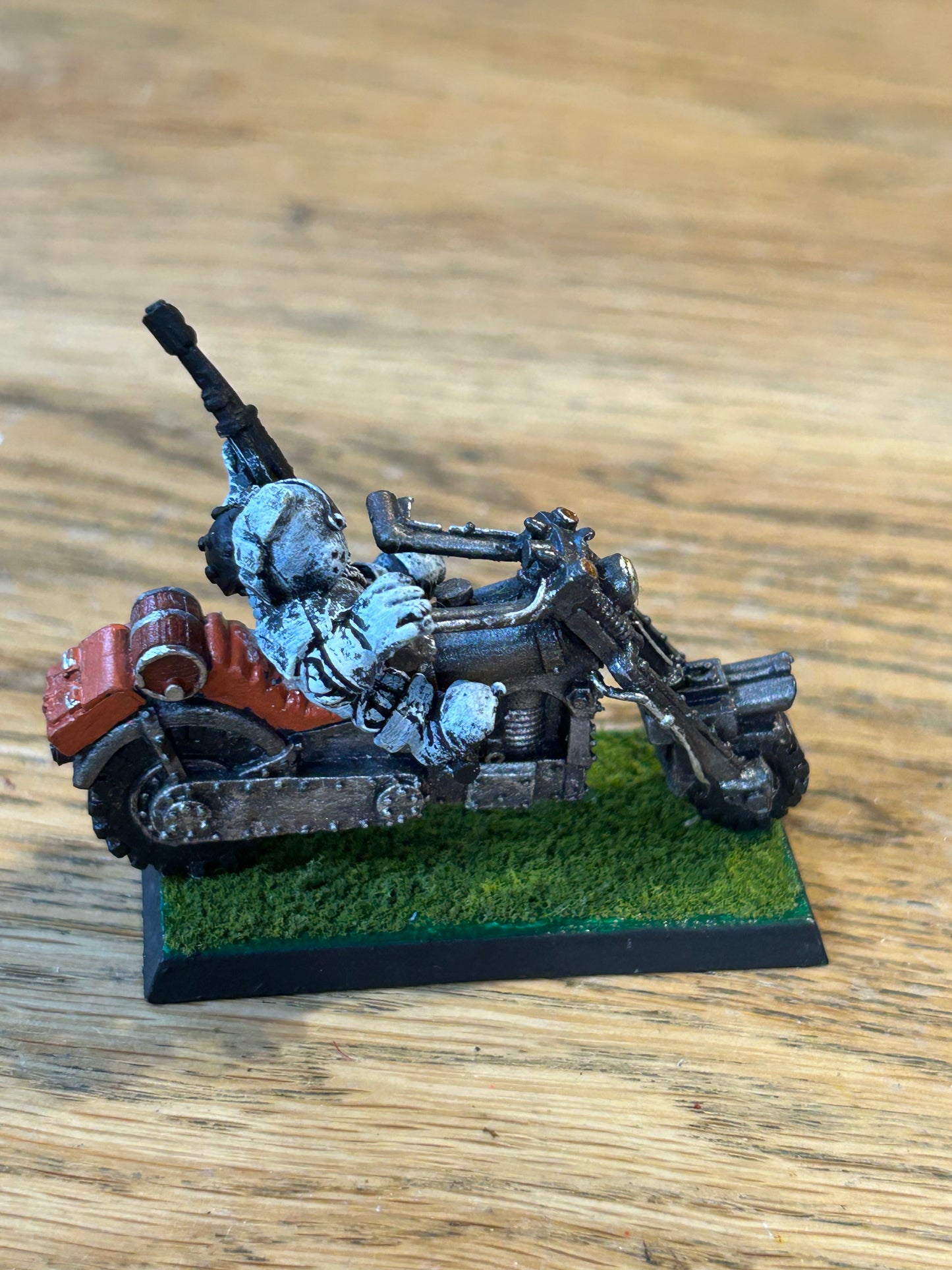 Rogue Trader Squat Bike and Biker