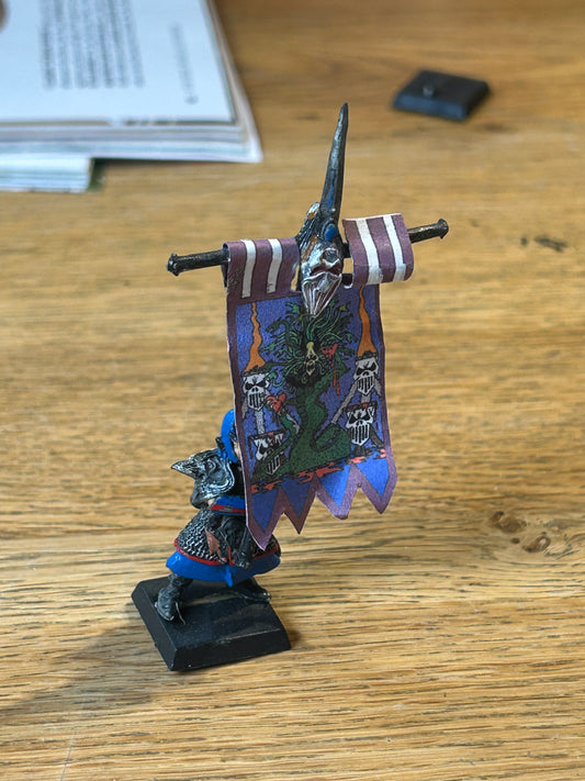 Warhammer fantasy dark elves Command group standard bearer