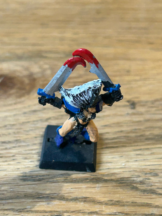 Warhammer fantasy dark elf witch elf  marauder miniatures