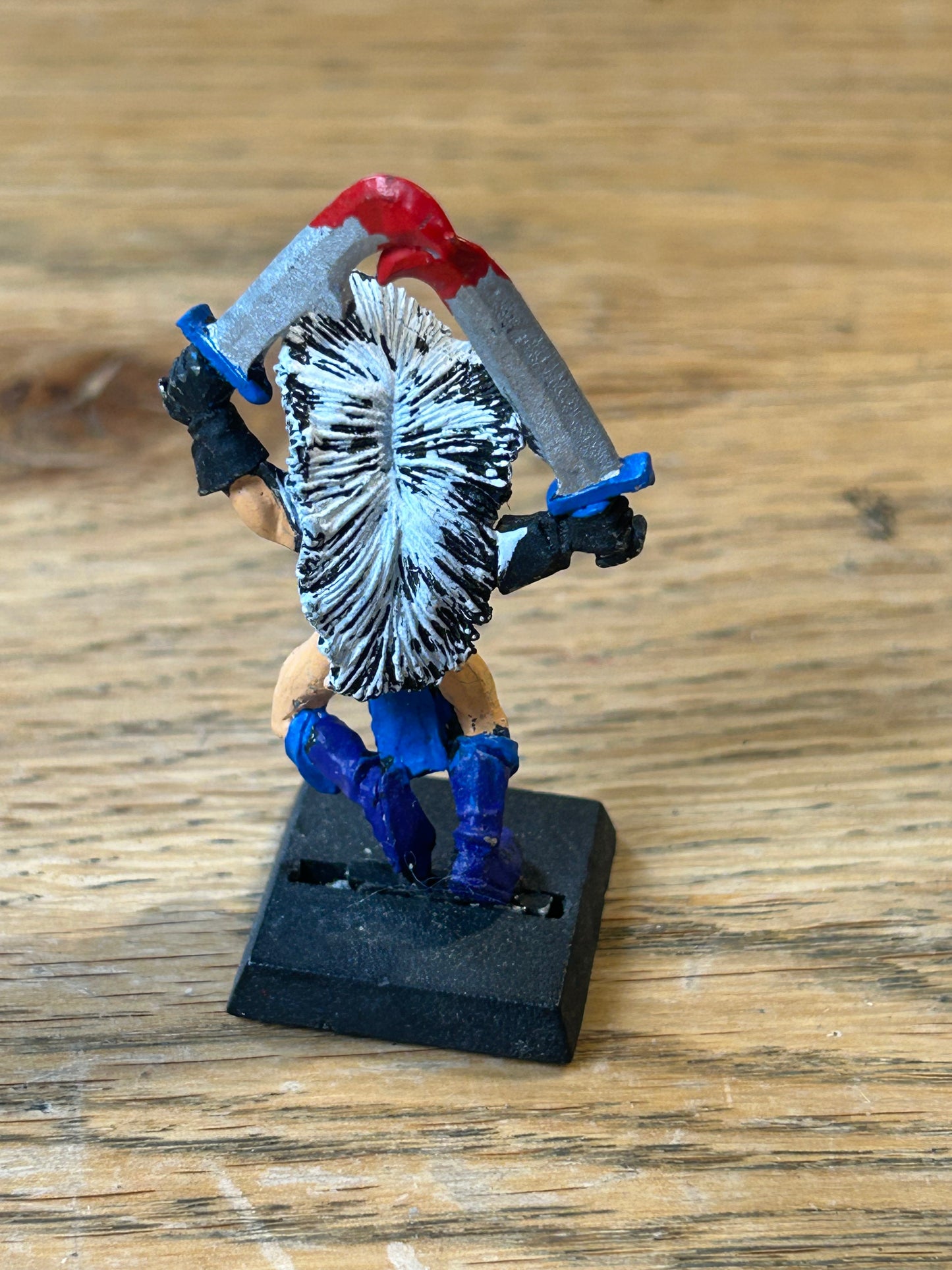 Warhammer fantasy dark elf witch elf  marauder miniatures
