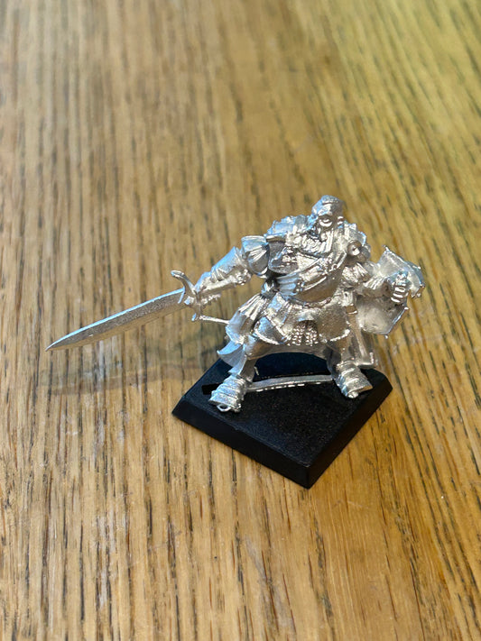 The Empire - Captain with Sword and shield warhammer fantasy