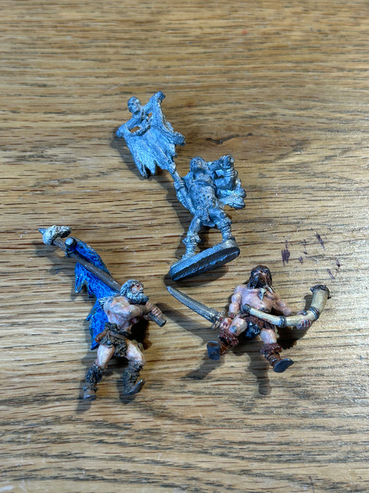 Grenadier models barbarian command models x3 (2 have been removed from solid bases)